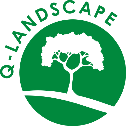 Q-Landscape