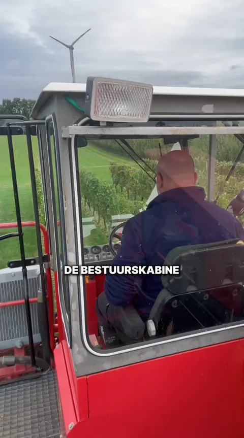 Stilstaand beeld uit een reel voor Wijndomein Kluisberg in Bekkevoort, video 2